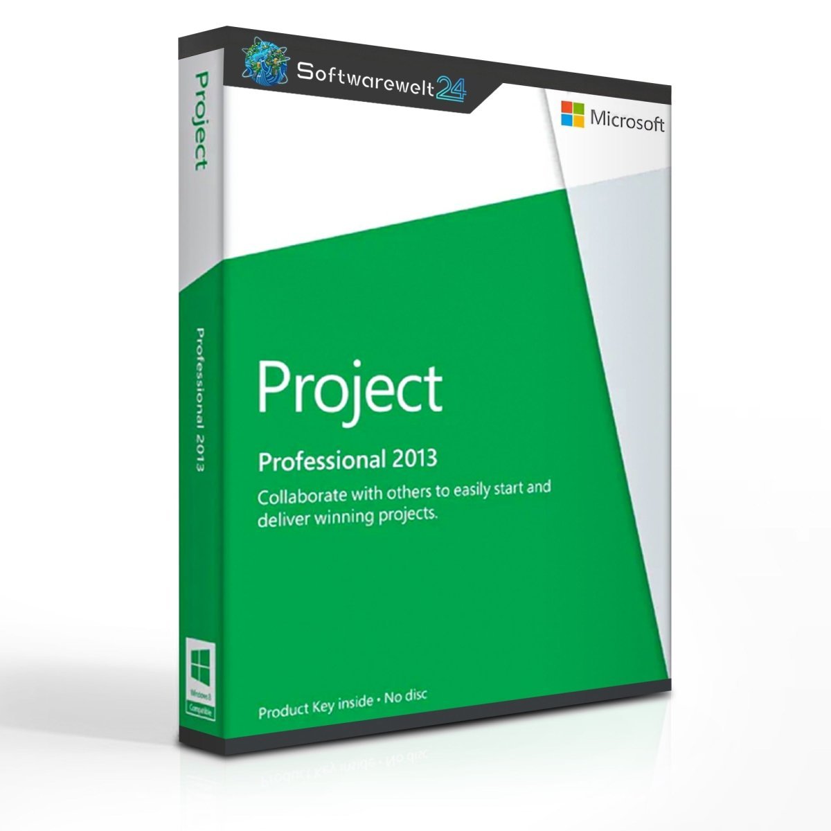 ProjectProfessional2013 Microsoft Project Professional 2013 - Image 1