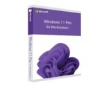 Microsoft Windows 11 Pro for Workstations